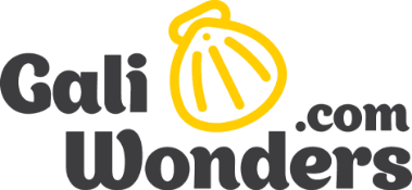 Logo Galiwonders